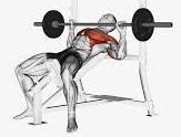 Bench Press
