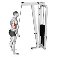 Tricep Pushdown