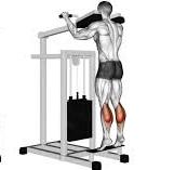 Calf Raises