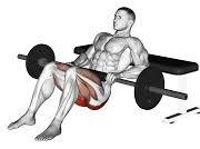 Hip Thrust