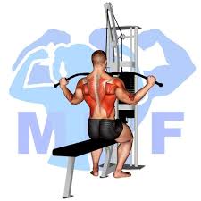 Lat Pulldown