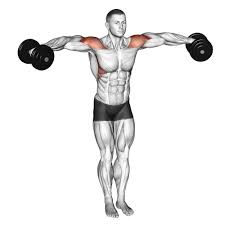 Lateral Raise