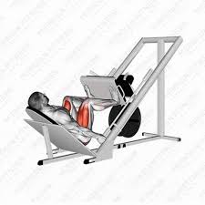 Leg Press