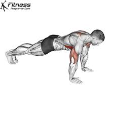 Pushup