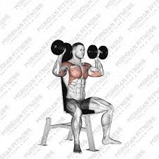 Shoulder Press
